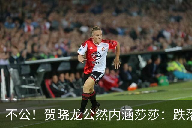 不公！贺晓龙公然内涵莎莎：跌落河北一姐之位，背后竟遭遇网络黑恶势力攻击